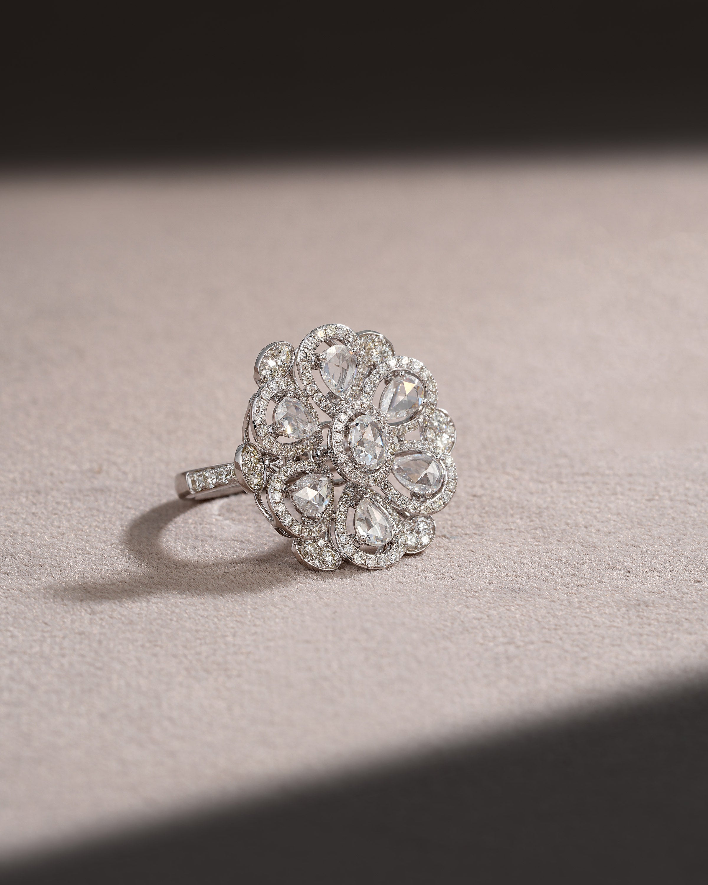 The Aurelia Cluster Ring